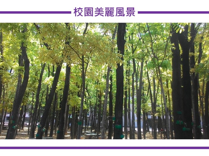 115學年度  四技招生簡報圖片