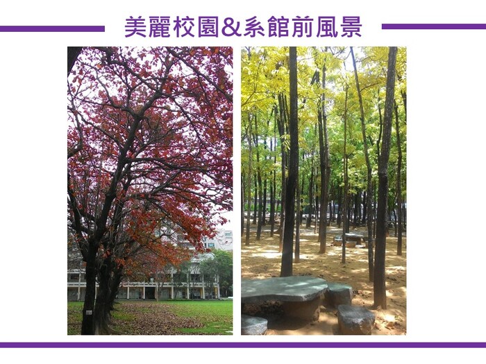 115學年度  四技招生簡報圖片